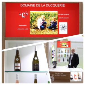 Salon Vinovision